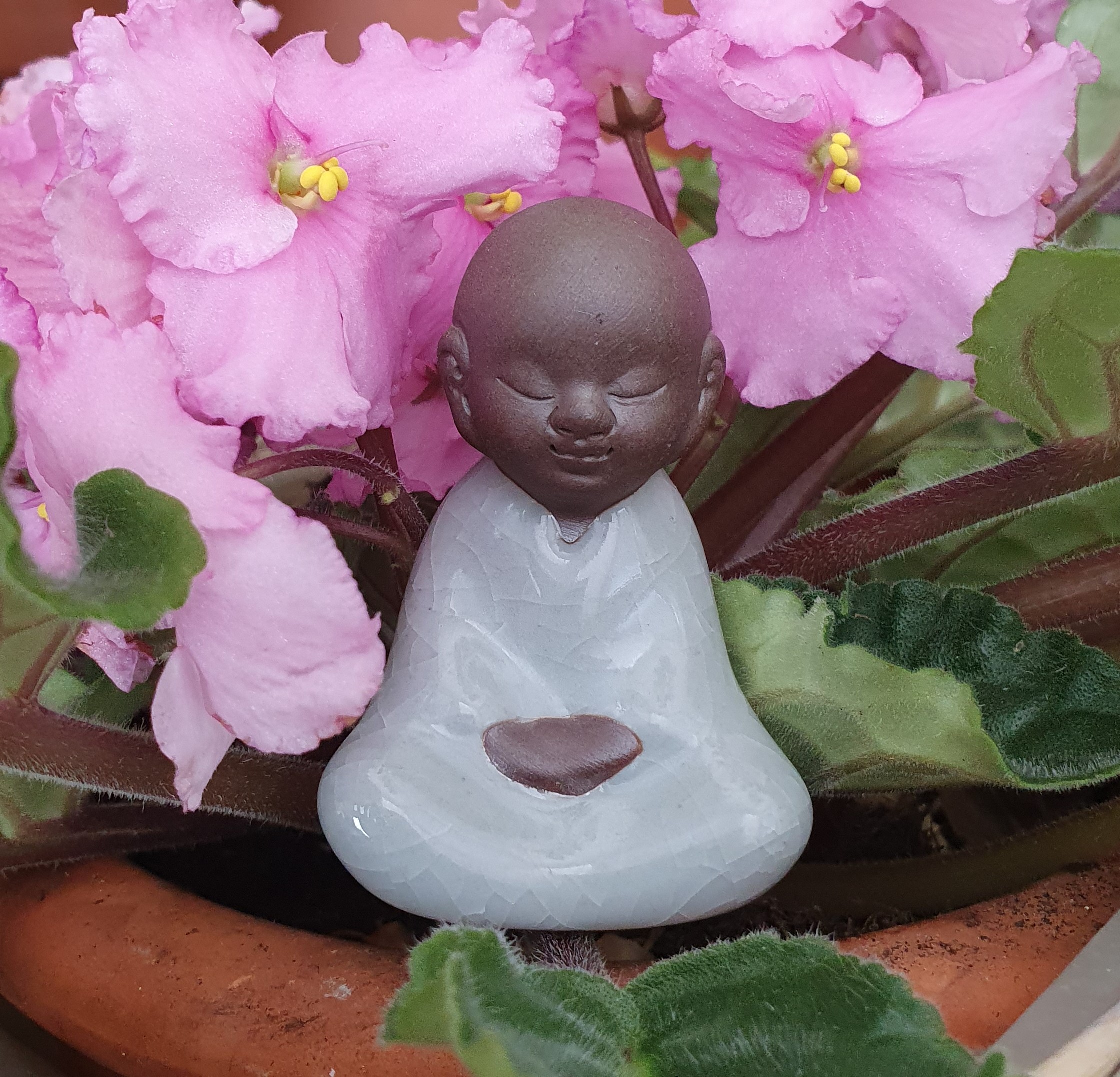 https://www.sla.si/s22/Litle%20buddha%20in%20rose%202.jpg